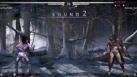 真人快打终结技视频,惊心动魄的视觉盛宴