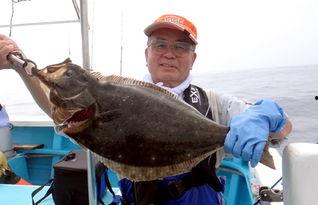 比目鱼视频,深海奇遇记