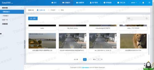 视频采集处理,捕捉瞬间,再现精彩