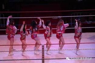 中国武术比赛视频,中国武术比赛精彩瞬间回顾